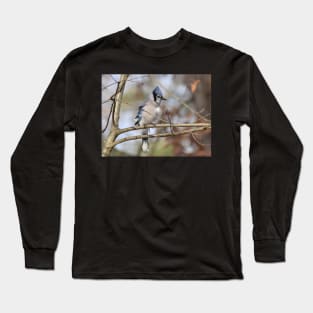 BlueJay on a branch Long Sleeve T-Shirt